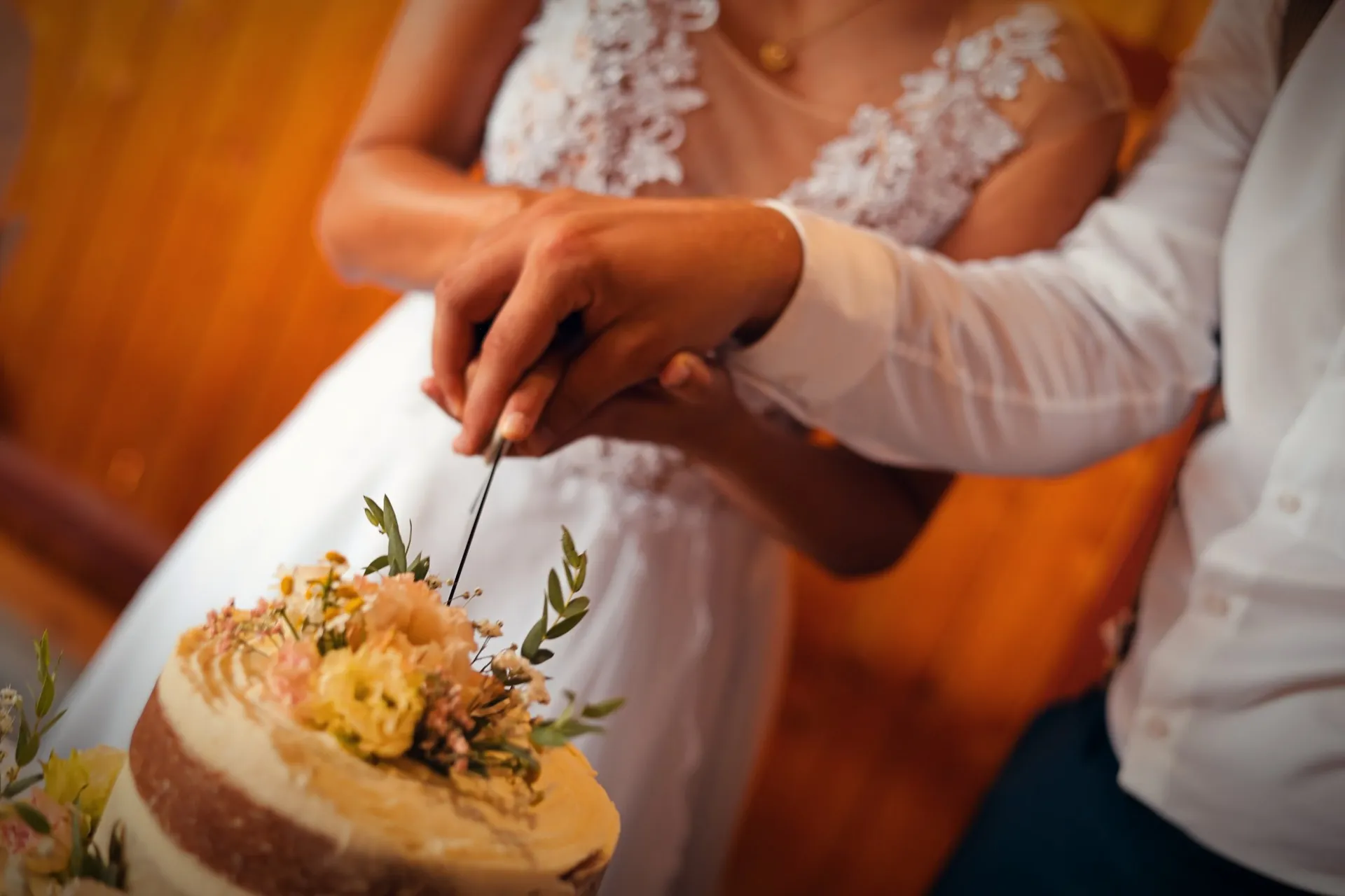 Areál na samotě u lesa